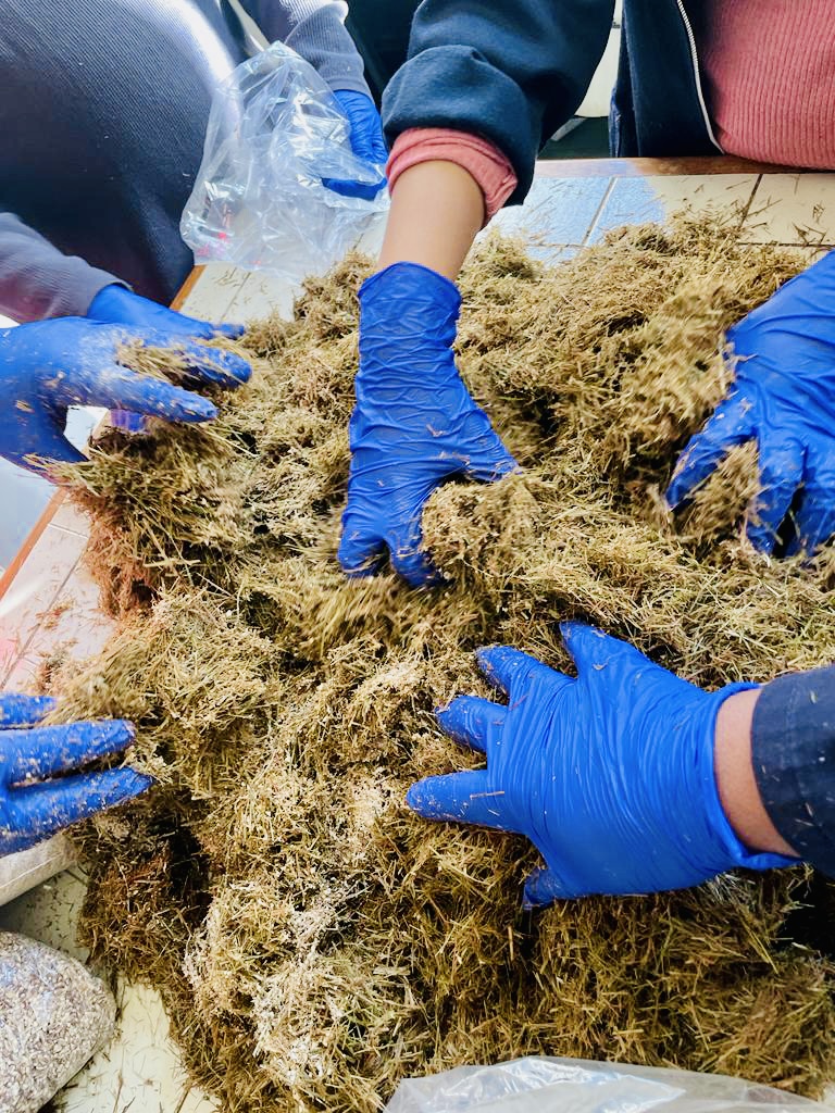 5aa00e6c-12d4-4642-9a85-9f5587daac7f