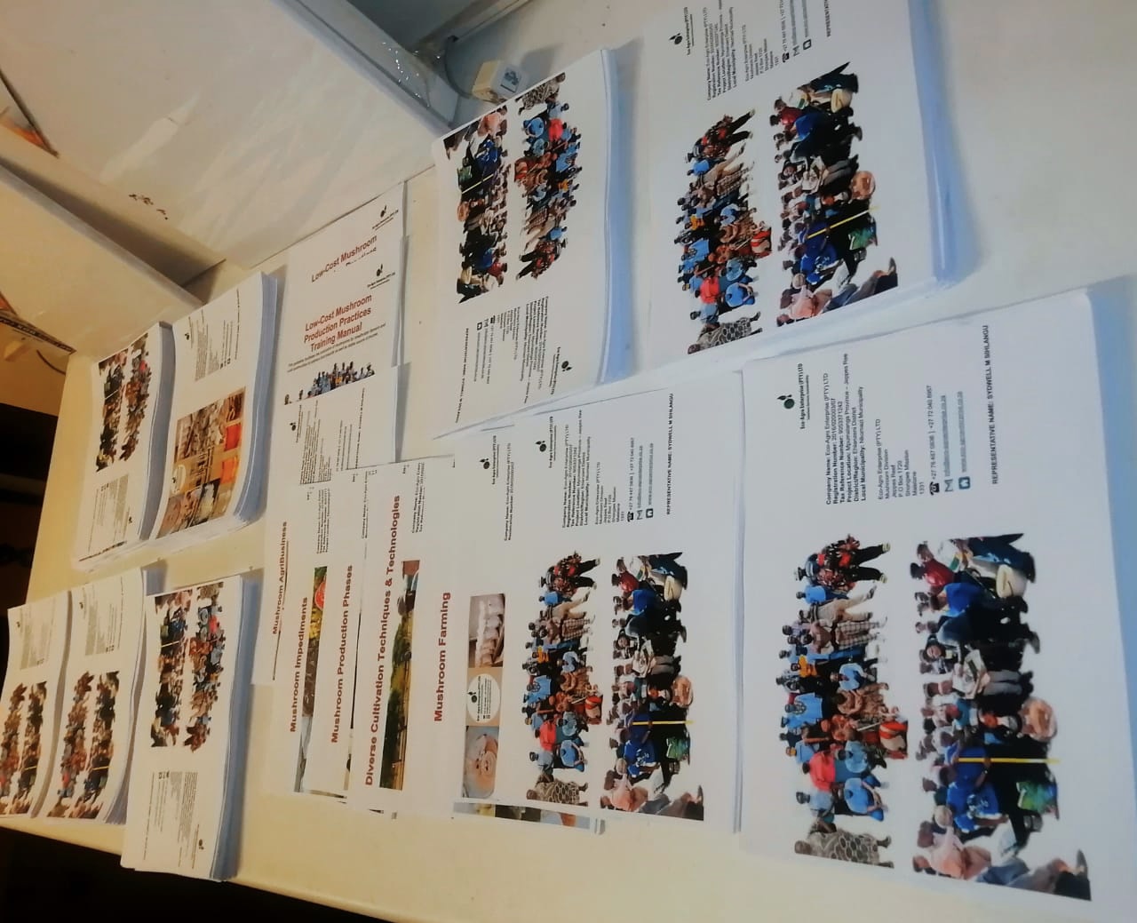 6799f8c5-0ee3-4aec-9eef-4ce8ca8cb540