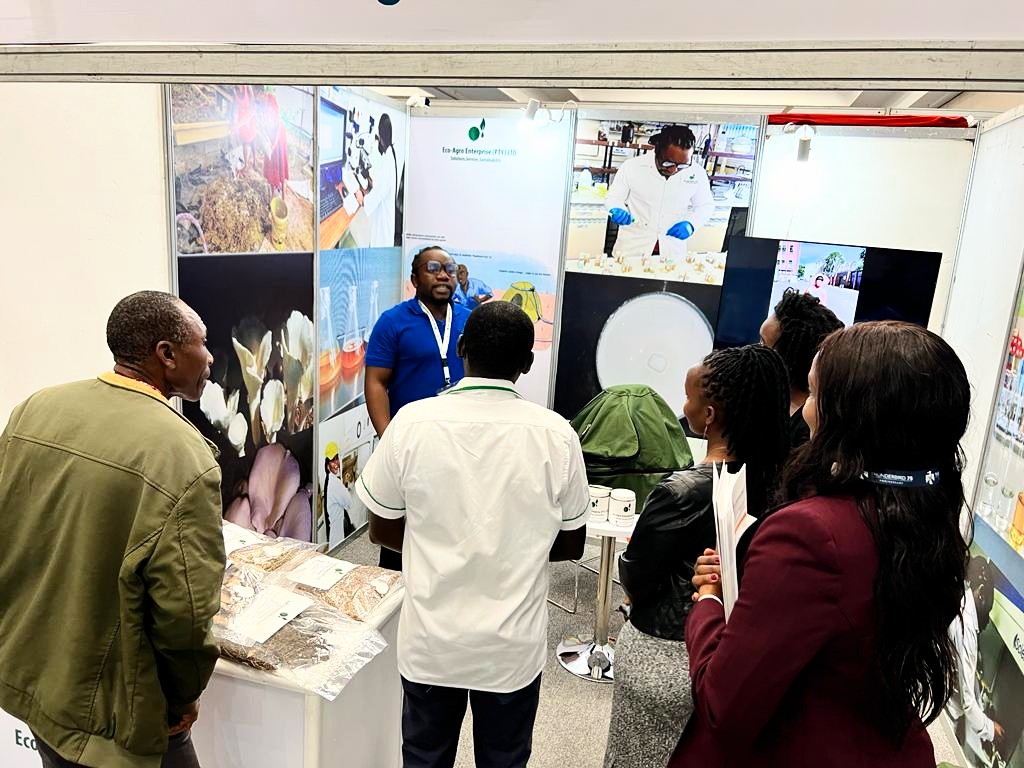 IMG-20221208-WA0022~2