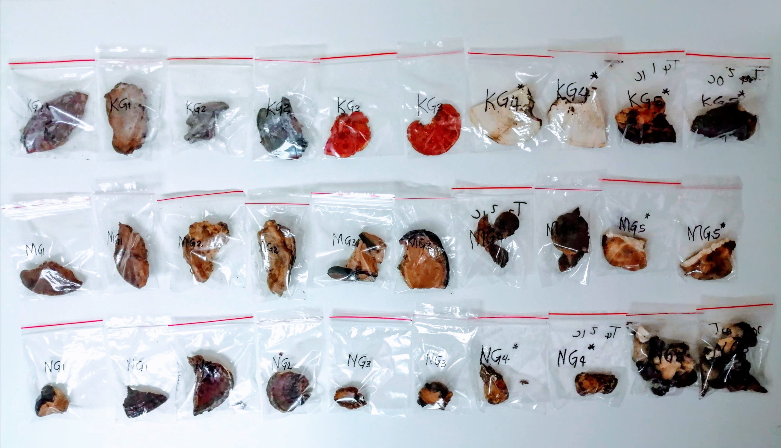 IMG_20191224_124917~2